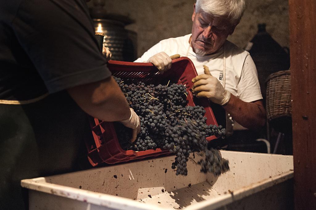 Country Room Il Moro Rignano sullʼArno エクステリア 写真