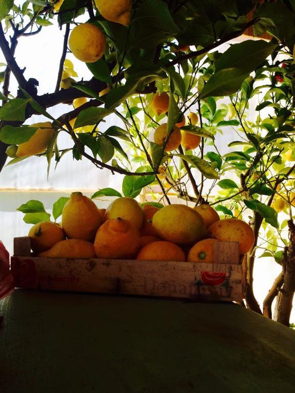Country Room Il Moro Rignano sullʼArno エクステリア 写真