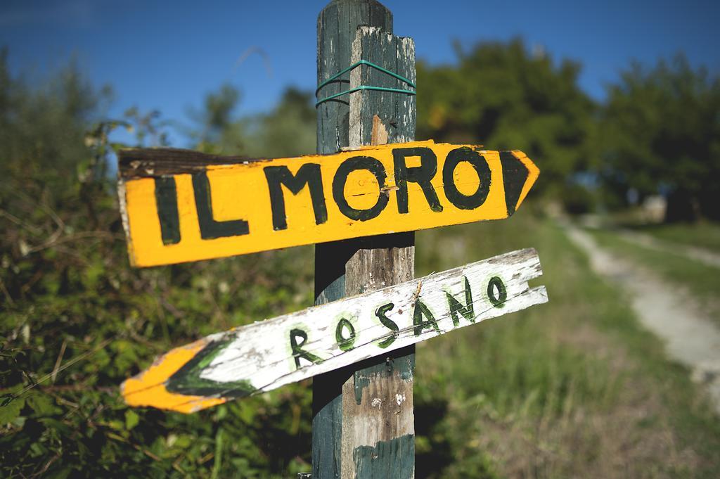 Country Room Il Moro Rignano sullʼArno エクステリア 写真