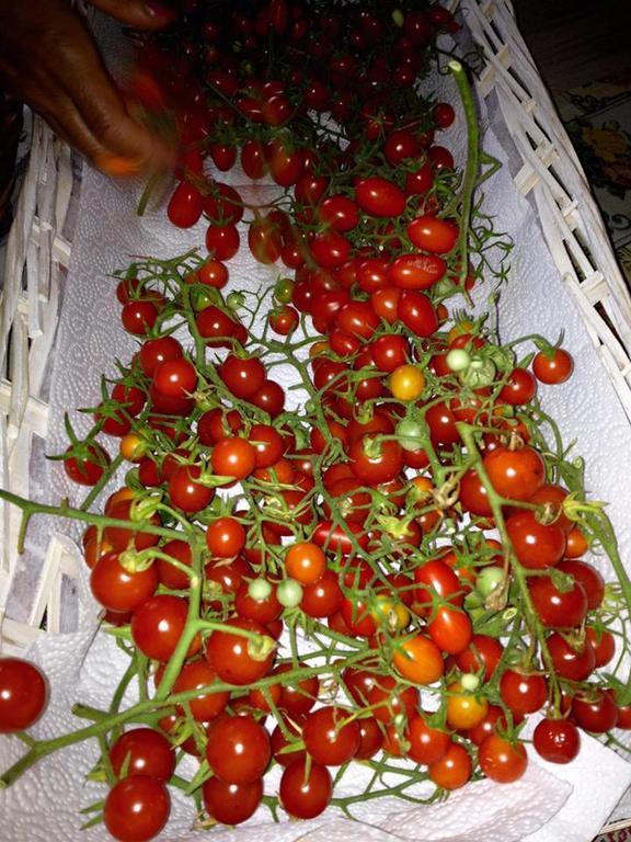 Country Room Il Moro Rignano sullʼArno エクステリア 写真